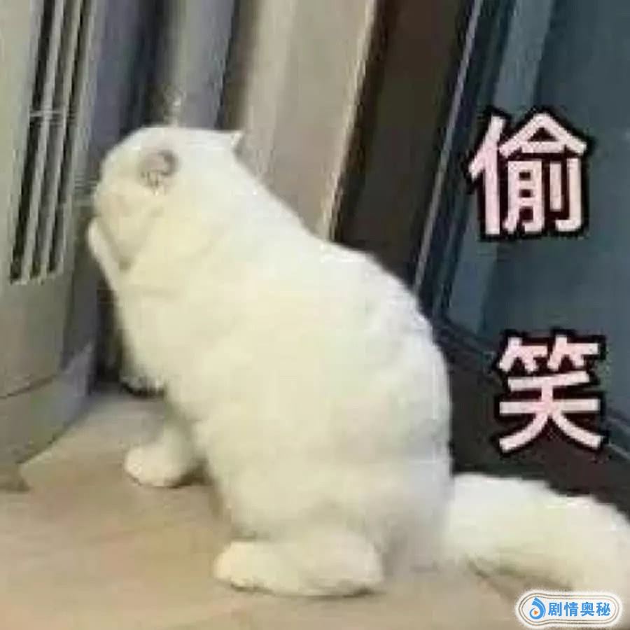 沙雕表情包,这猫太有才了