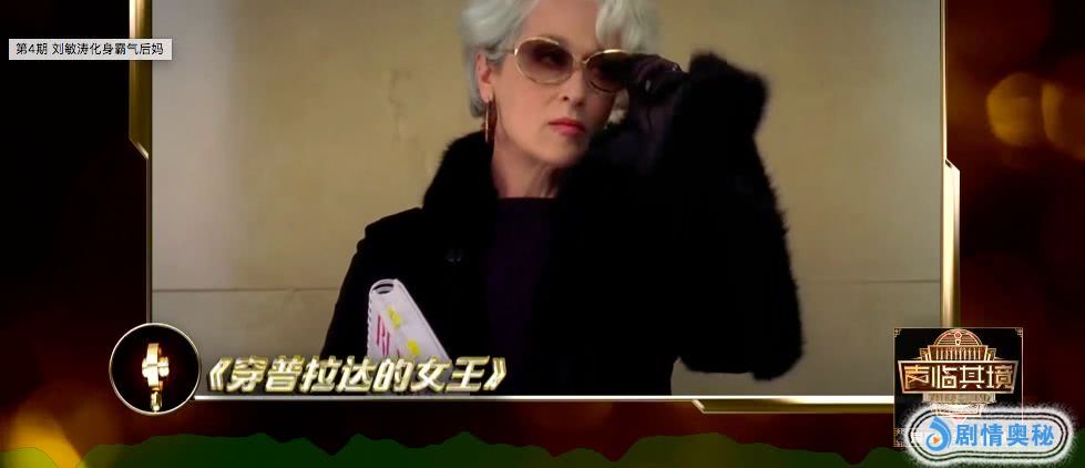 简直就是《穿普拉达的女王》中的女王本王.