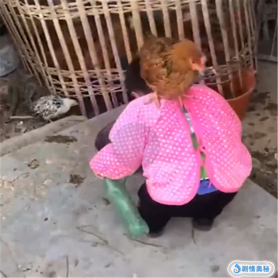 妈妈带女儿会农村过年,偶然间看到这样一幕,太搞笑了