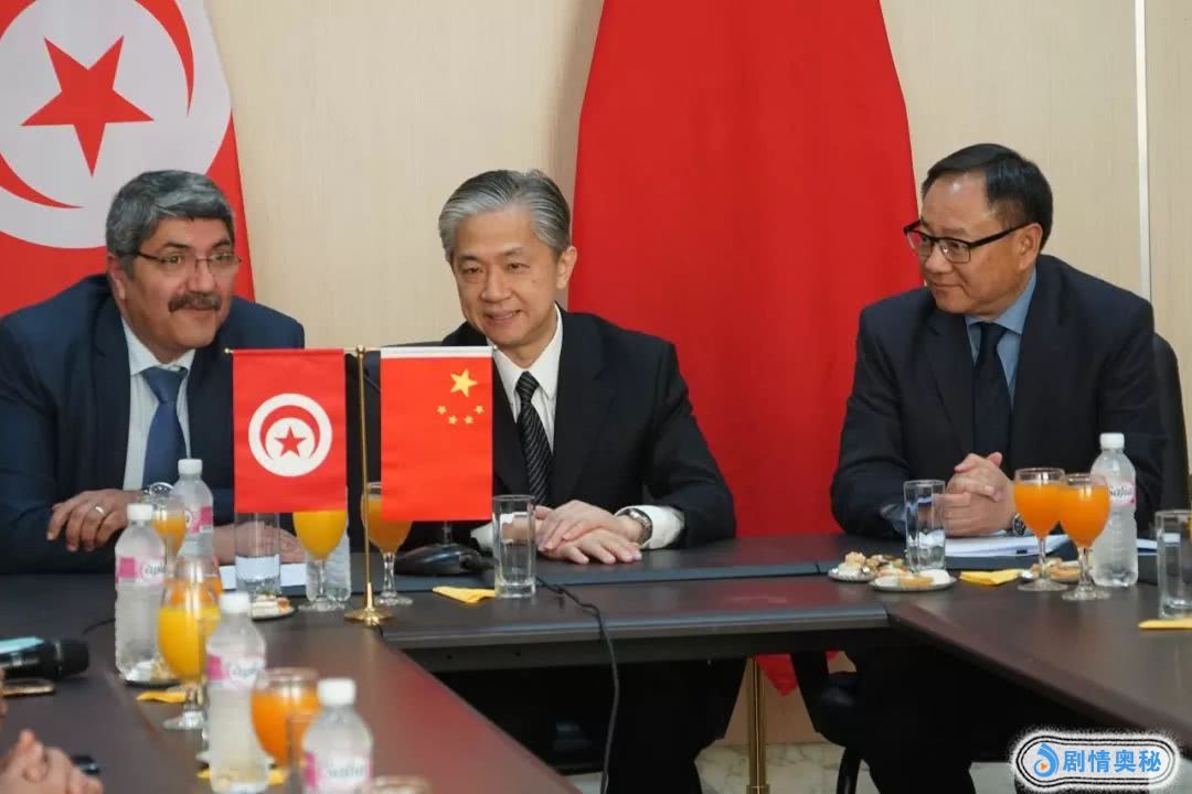 中国驻突尼斯共和国大使汪文斌等出