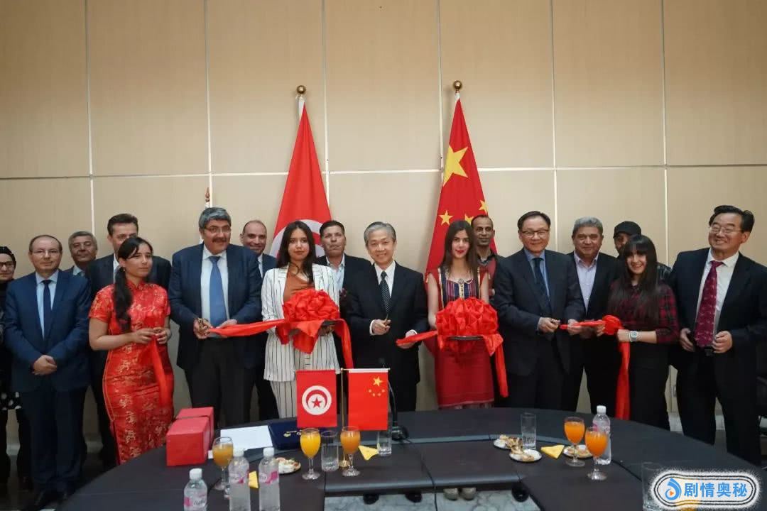 汪文斌大使关于推动中国电影走出去工作的意见,并与突尼斯文化部电影