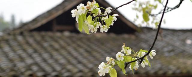 清明节可以发红包吗