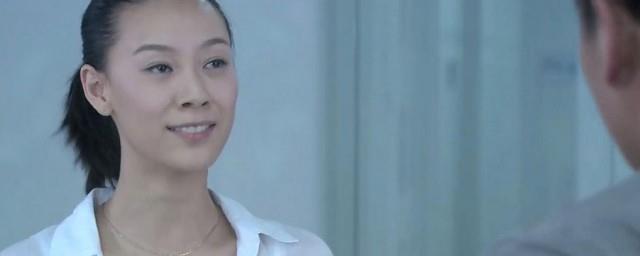 何正中是什么电视剧