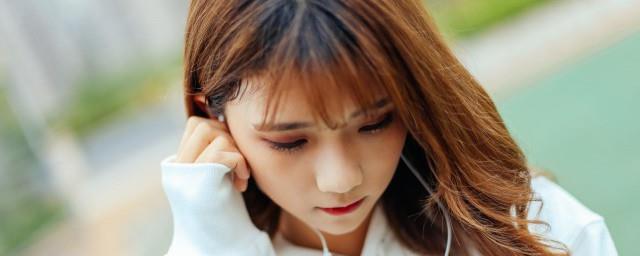 疯狂动物城主题曲歌词