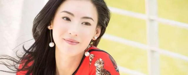 张柏芝个人资料
