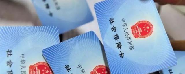 怎么查看社保