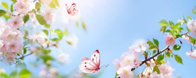 3月有什么节日