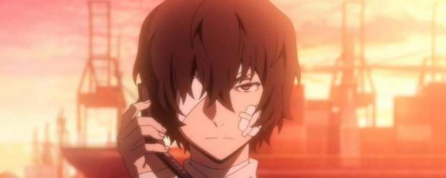 文豪野犬人物介绍
