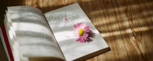请以你的名字呼唤我台词精选