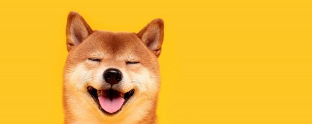 朋友圈逗趣的搞笑经典句子大全