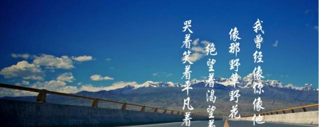 平凡之路歌词寓意