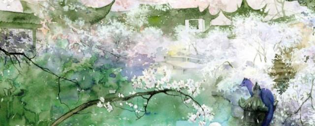 西子情作品