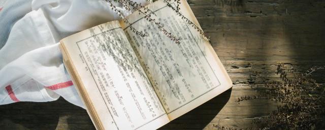 流行词梗是什么意思