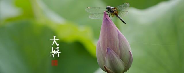 大暑节是怎么来的