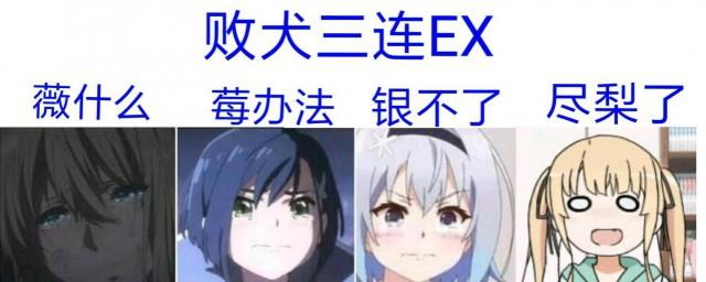 败犬是什么意思
