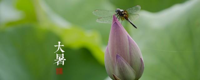 高温补贴不发怎么办