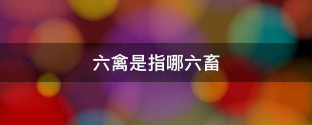 六禽是指哪六禽