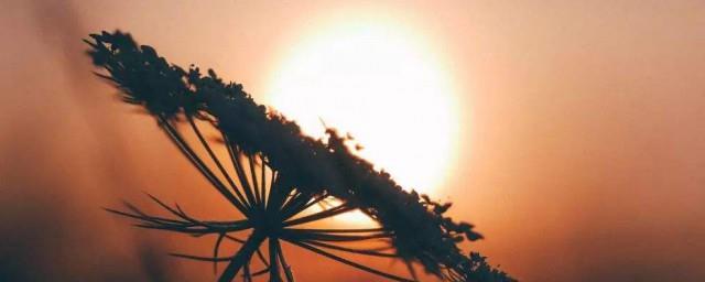 有意义的英文短句