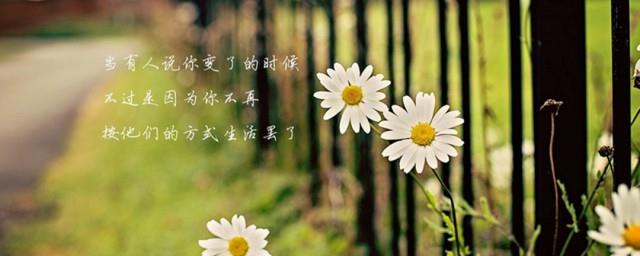 适合自己情绪的唯美语录