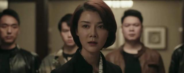 扫黑风暴原型小说