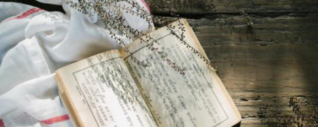 八月初八是什么日子