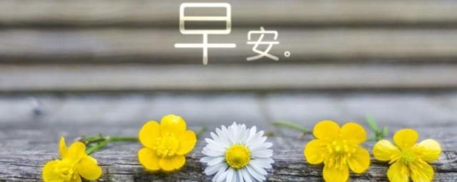 客户早上好问候语简短