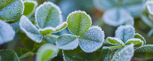 霜降是24节气第几个节气