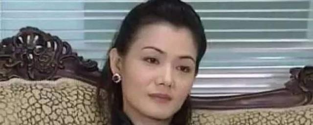 孟庭丽演过什么电视剧