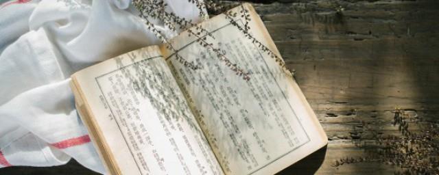 女孩名字用宜的寓意