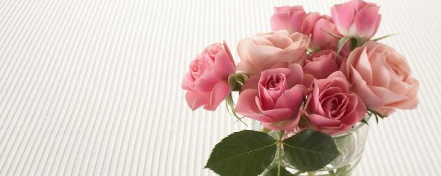 小王子玫瑰花的寓意