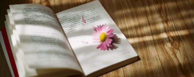 关于爱孩子的经典句子