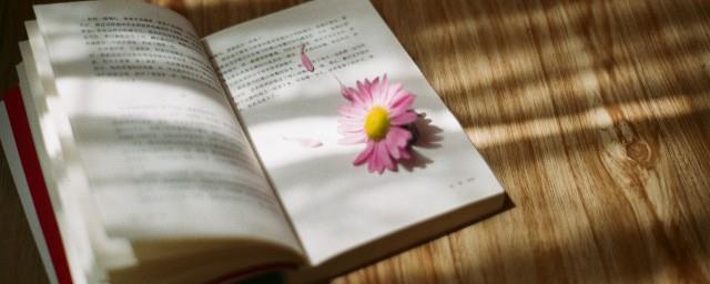 什么是春梦