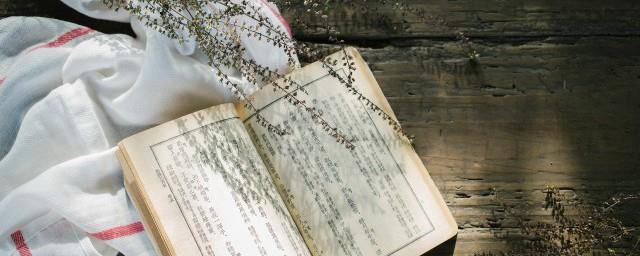 因为懂得所以慈悲是什么意思