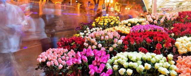 梦到鲜花