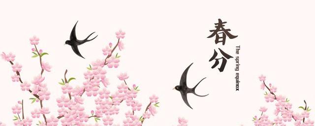 春分是春社吗