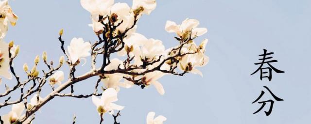 2022年春分节气前一天是什么日子