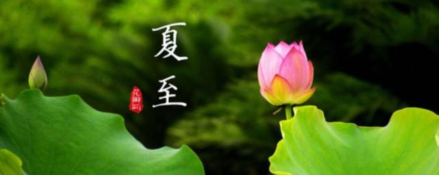 夏至的句子短句唯美