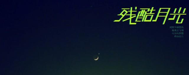 在街头浪荡没有目的方向残酷的月光给现实一巴掌是什么歌