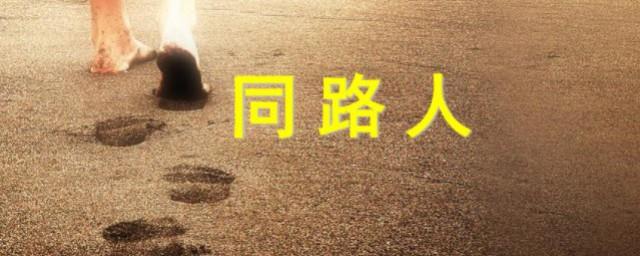 同路人歌词