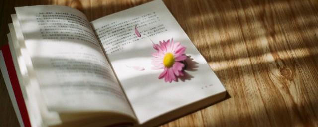 洛阳尘歆人美心甜意思