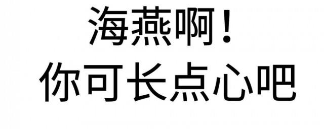 海燕你可长点心什么梗