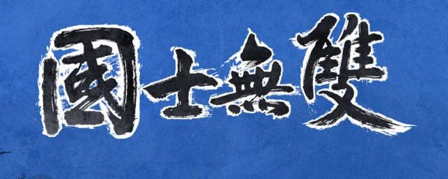 国士无双小说讲的什么