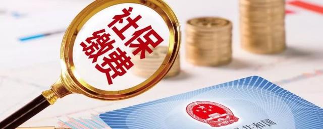 社保号码怎么查询