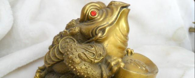 梦见蟾蜍是什么征兆