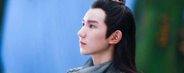 大主宰播出时间
