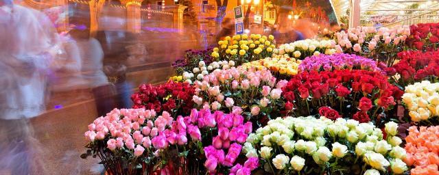 坟前为什么不能种花
