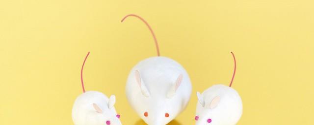 男人梦见老鼠什么征兆