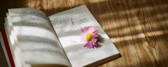 520表白语言