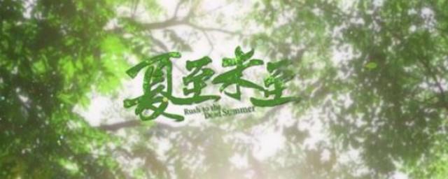 夏至未至片头曲是什么