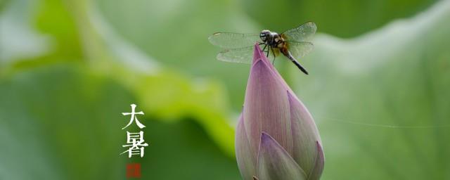 2021小暑过后是什么节气
